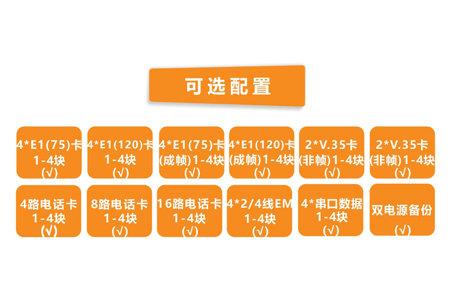 模塊化多業(yè)務(wù) TDM Over IP 電路仿真網(wǎng)關(guān)
